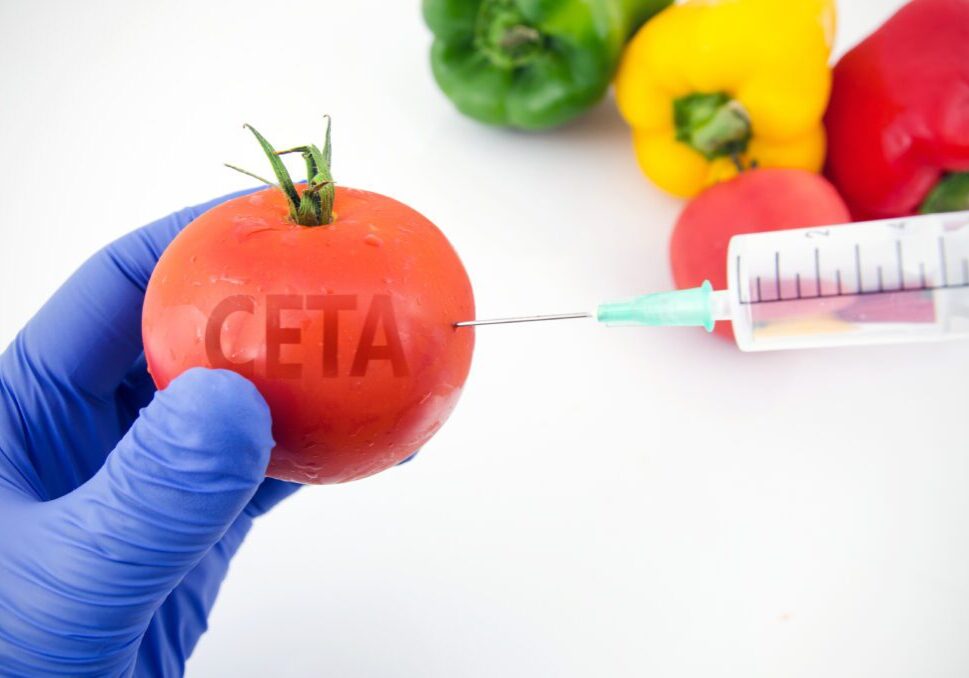 A person is holding an apple with the word ceta written on it.